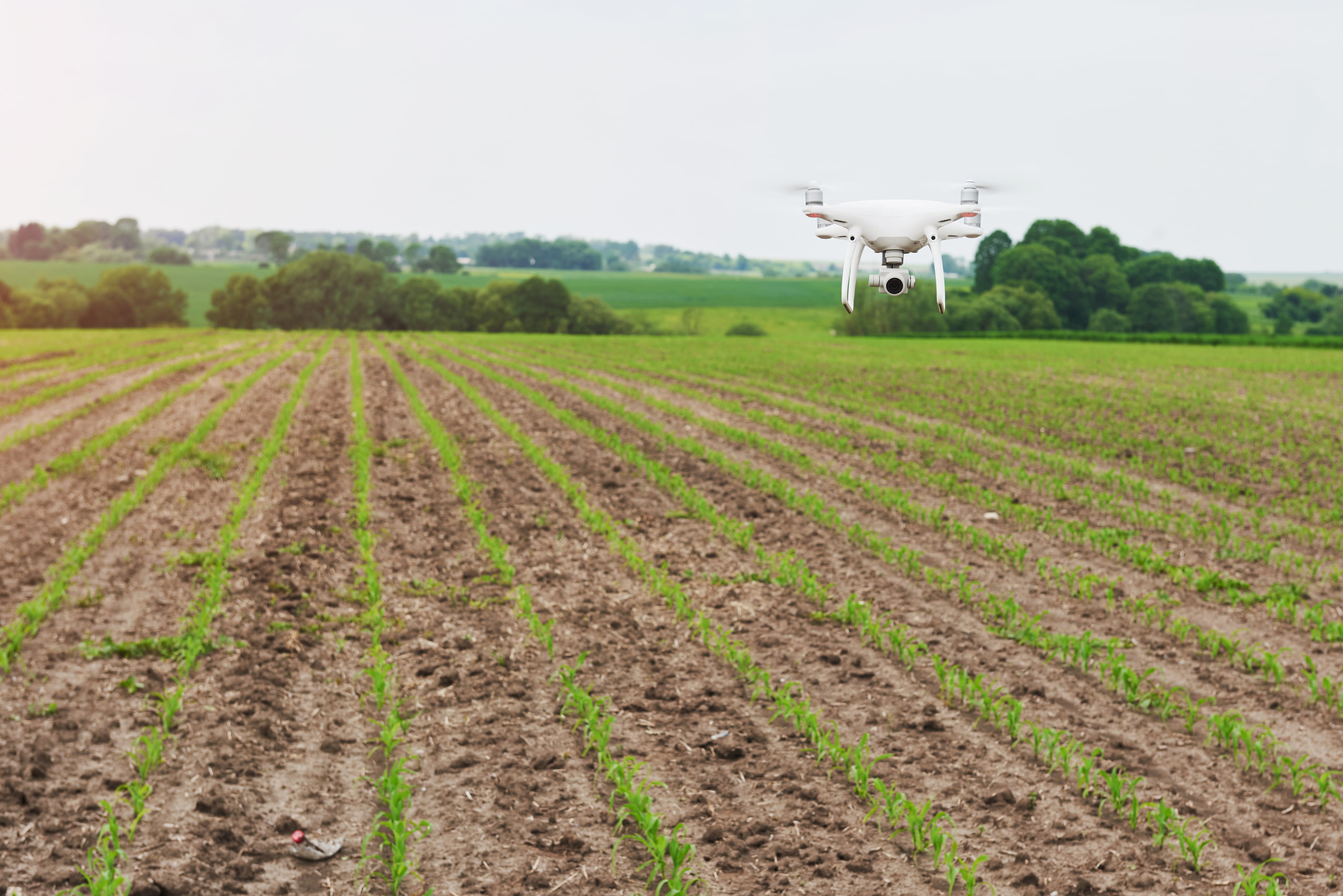 Senk Farms Breaks New Ground with Drone Technology in Agriculture
