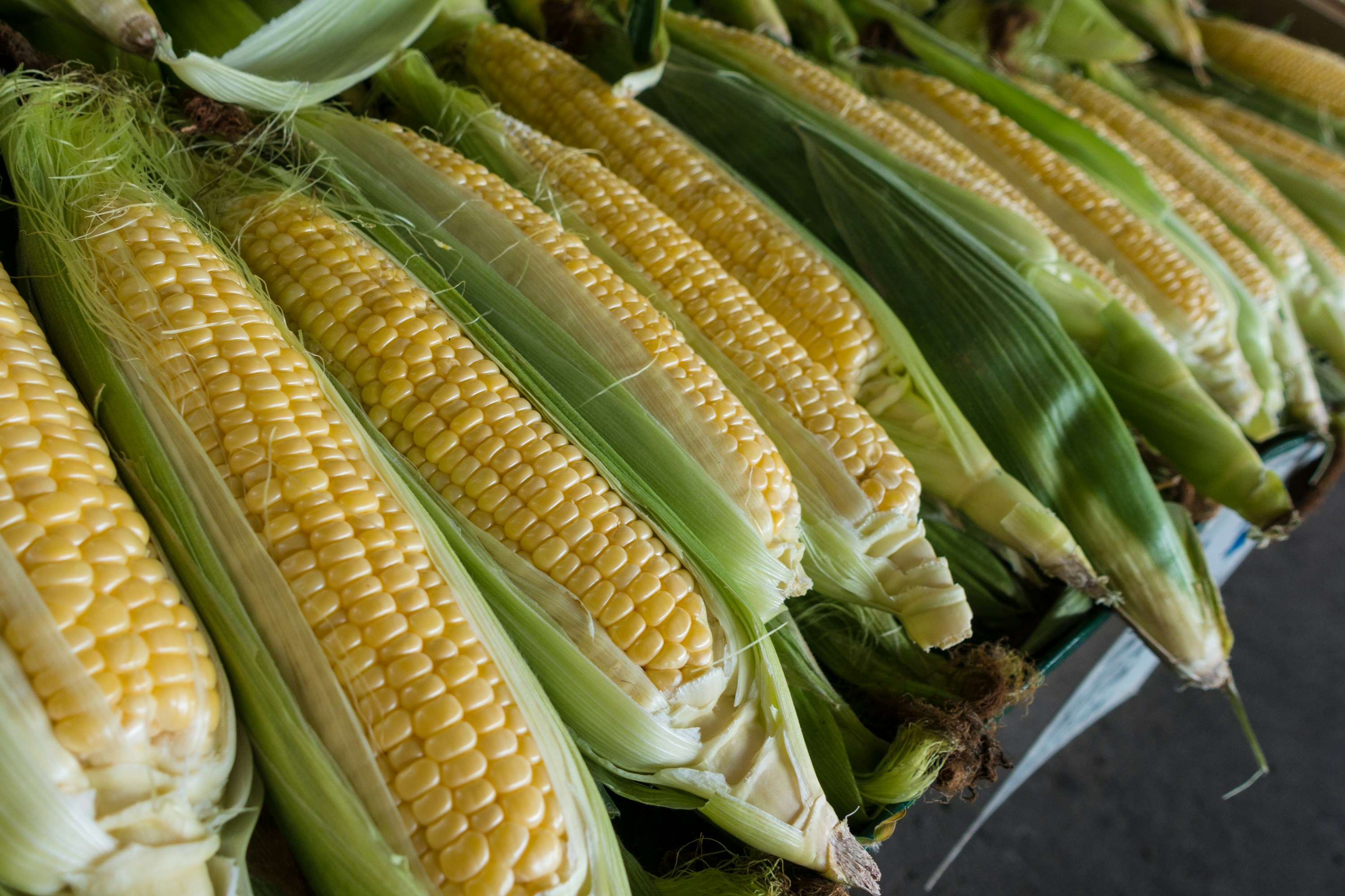 Farm Produce
